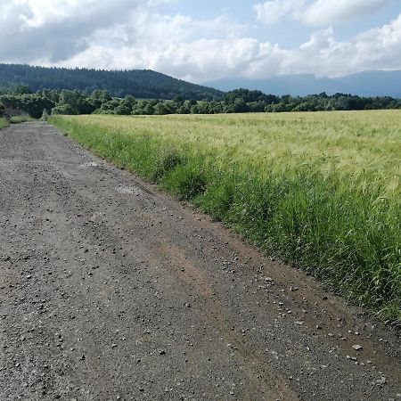 Domki Sowi Kamien Lomnica (Jelenia Gora) Exterior foto