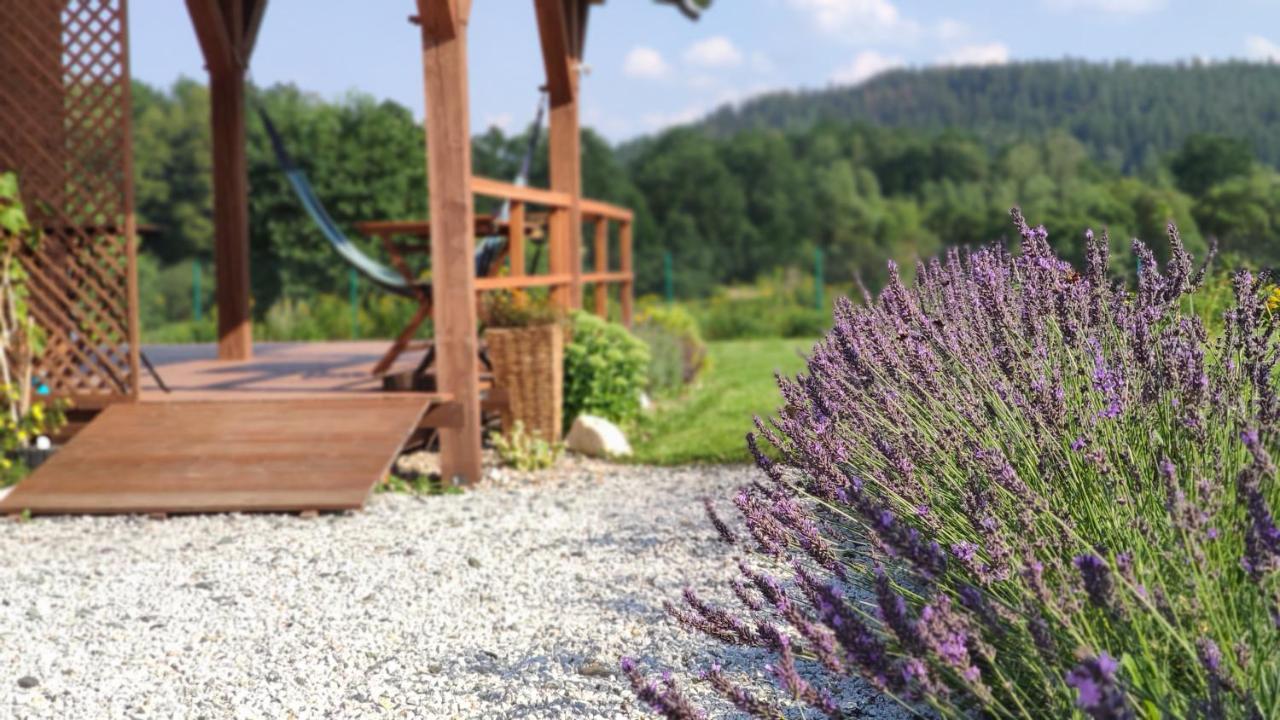 Domki Sowi Kamien Lomnica (Jelenia Gora) Exterior foto
